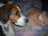 DSCN1541.webp