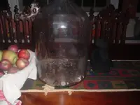 DSCF2518.webp