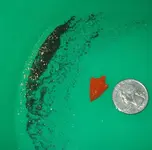 arrowhead.webp