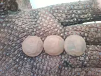 0411110848.webp