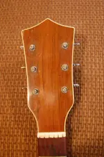 carson robison guitar 007.webp
