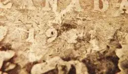109.webp
