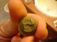 metal detecting 035.webp