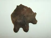 DSCF1569.webp