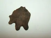 DSCF1572.webp