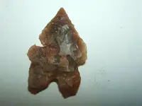 DSCF1561.webp