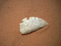DSCN0494.webp