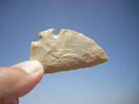 DSCN0496.webp
