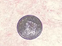 GEDC1314.webp