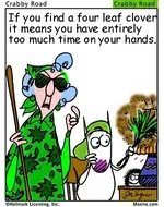 maxine2.webp