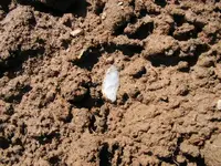 2011-03-08 004.webp