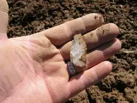 2011-03-08 005.webp
