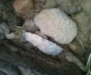 01BMAY072011- 020.webp
