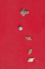 100_1314scale.webp