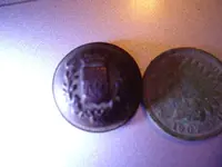 buttonDSC00386.webp