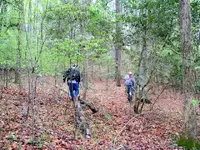 100_2154.webp 100_2154.webp