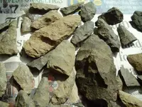 P3080021 (816 x 612).webp