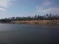 backflip 363.webp