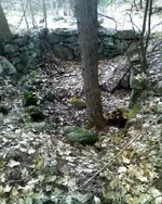 NH FINDS 05-07.3.webp