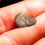NH FINDS 05-07 007.webp