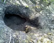 NH FINDS 05-07.2.webp