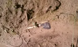 small_insitu.webp