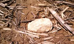 stone_axe_insitu.webp