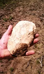stone_axe.webp