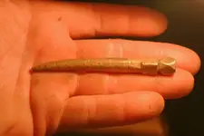 nc finds 03-25 014.webp