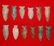 Fishspear Points.webp