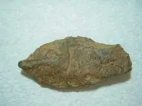 Arrowhead.webp