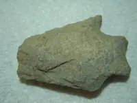 Arrowhead1.webp