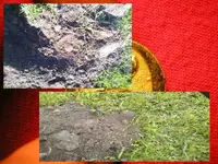 April 2011 Relics4.webp