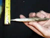 DSCN2750.webp