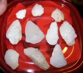 100_3545.webp