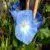 avatar_56347.webp
