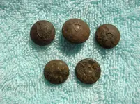 Eagle Buttons.webp
