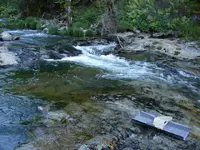 spot and sluice.webp