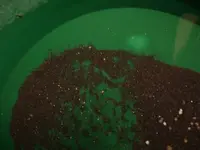gold lead sand.webp