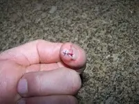 saw cut.webp