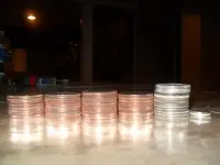 coins 001.webp