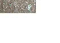1909zoom.webp