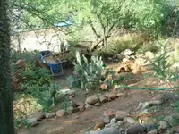 BCC new property 047.webp