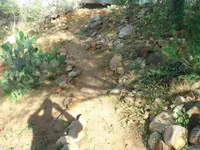 BCC new property 049.webp