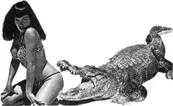 crocswimmer.webp
