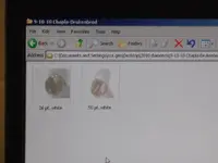 47120_1554663740674_1057590214_1577399_407915_n.webp