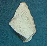 p2.webp