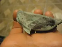 5-8-11 010.webp