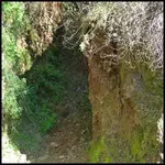 chi651.webp