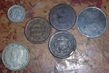 DSCN3906.webp